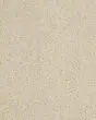 Hillcrest II Textured Nylon 29oz Carpet