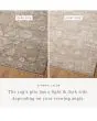 Pace PAC-03 Taupe/Wheat Area Rug