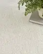 Pacific Shag PCS01 Ivory Area Rug