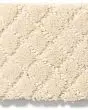 Pawnache Patterned Nylon Carpet