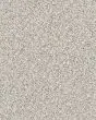Pikes Peak Textured Nylon Carpet