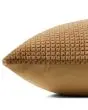 PLL0130 Carmel 22" Pillow