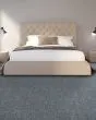Polished Radiance SmartStrand 46oz Carpet