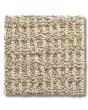 Portofino Nylon Patterned 27oz Carpet