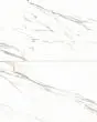 Prati Calacatta Borghini Warm Polished Glazed Porcelain 24"x48" Field TIle