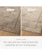 Priscilla PRL-07 Beige/Earth Area Rug