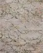 Pryor 39NEF Taupe/Green/Tan Rug