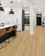 Pergo Extreme Preferred Hamilton Grove Bramble Vinyl