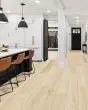 Pergo Extreme Preferred Hamilton Grove Callaway Vinyl