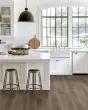 Pergo Extreme Preferred Hazelwood Drift Barlow Luxury Vinyl