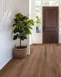 Pergo Extreme Preferred Sterling Cove Windsor Luxury Vinyl