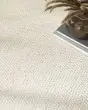 Pure Rows ROW01 Ivory Area Rug