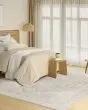 Pure Shades SAD02 Beige Area Rug