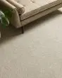 Purrfection Pet Friendly Nylon Carpet