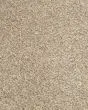 Purrsonality III Pet Friendly 75oz Carpet