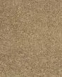 Purrsonality III Pet Friendly 75oz Carpet