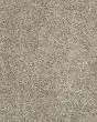 Purrsonality I Pet Friendly 48oz Carpet
