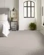Quiet Trail Pet Friendly 43oz Carpet