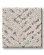 Quiet Trail Pet Friendly 43oz Carpet
