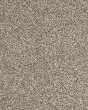 Raise The Woof I Pet Friendly 40oz Carpet