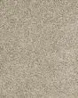 Raise The Woof II Pet Friendly 53oz Carpet