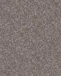 Refined Chic Alaskan Air Textured Carpet