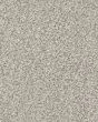 Ridgeway Walk Textured Nylon Carpet