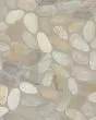 River Pebbles Taupe Blend Natural Stone Tile