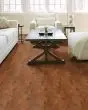 Clearwater Burnside 5" Maple Hardwood