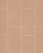 Sahara Cotto Matte Glazed Porcelain 12"x24" Rectified Field Tile