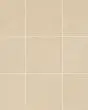Sahara Ecru Matte Glazed Porcelain 4"x4" Square Mosaic Tile