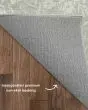 Soft Essentials SE4 Silver Area Rug