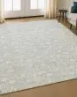 Soft Essentials SE4 Silver Area Rug