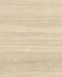 Sensi Roma Cream Satin Glazed Porcelain 48"x48" Field Tile