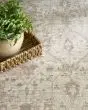 Shadows SHW05 Ivory Grey Area Rug