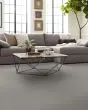 Crescent Hill Pet Friendly 43oz Carpet