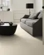 Sketch Patterned Nylon Carpet