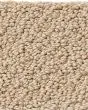 Smart Thinking Textured Loop Nylon Carpet