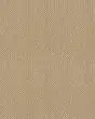 Smart Thinking Textured Loop Nylon Carpet