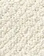 Smart Thinking Textured Loop Nylon Carpet