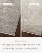 Sonnet SNN-05 Silver/Natural Area Rug