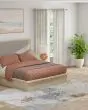 Sonora 39NUF Ivory/Blue/Red Area Rug