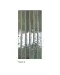 Stix Forest Glossy Porcelain 5x10 Tile