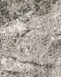 Stirling Patterned SmartStrand Silk Carpet