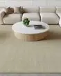 Strata SSS01 Grey Area Rug