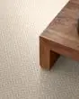 Stroll Patterned Nylon 31oz Carpet