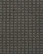 Structural Charm Patterned SmartStrand Carpet