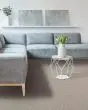 Stylish Attraction Patterned EverStrand Carpet