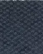 Subtle Allure Patterned SmartStrand Carpet