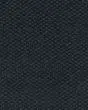 Subtle Allure Patterned SmartStrand Carpet